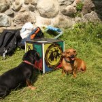 5. Stammtisch auf der Gesslerburg in Küssnacht