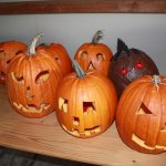 1. Halloween Event (Hof Luterbach, Küssnacht)